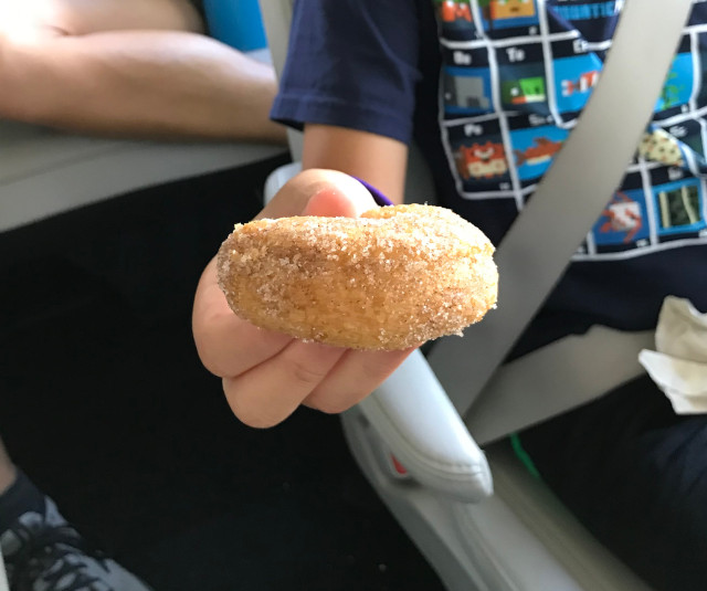 image of a high-altitude donut or doughnut at Pike's Peak in Colorado Springs