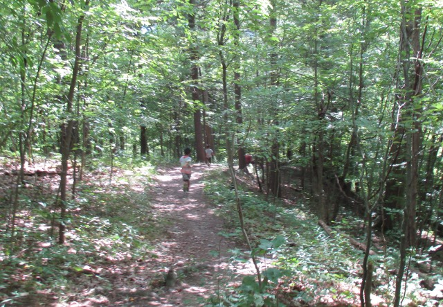 photo of hiking trail at Letchworth State Park in New York