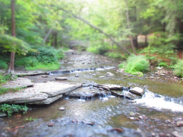 photo of a river at Letchworth State Park in New York