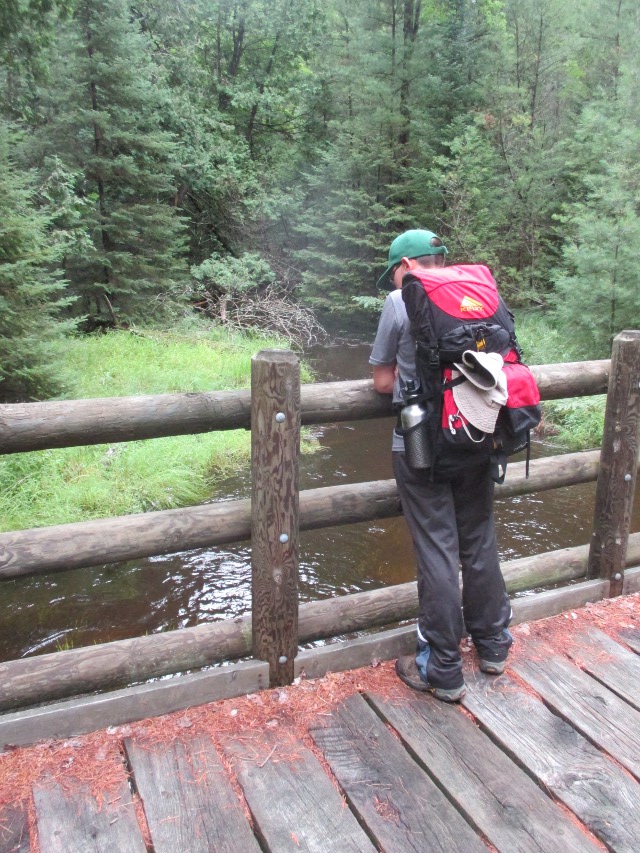 image of hiking in the national forest