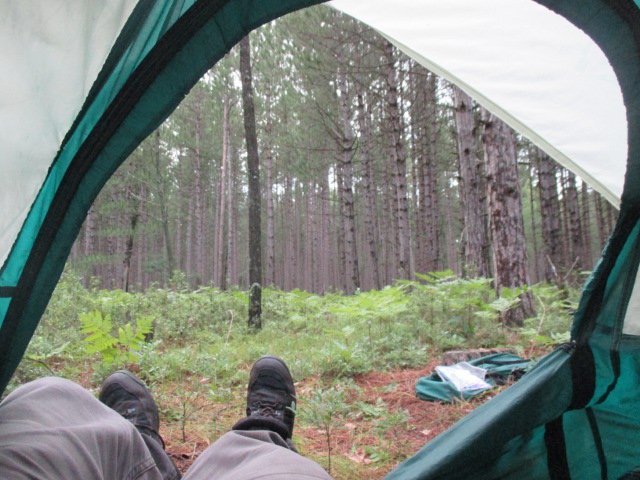 image of hiking in the national forest