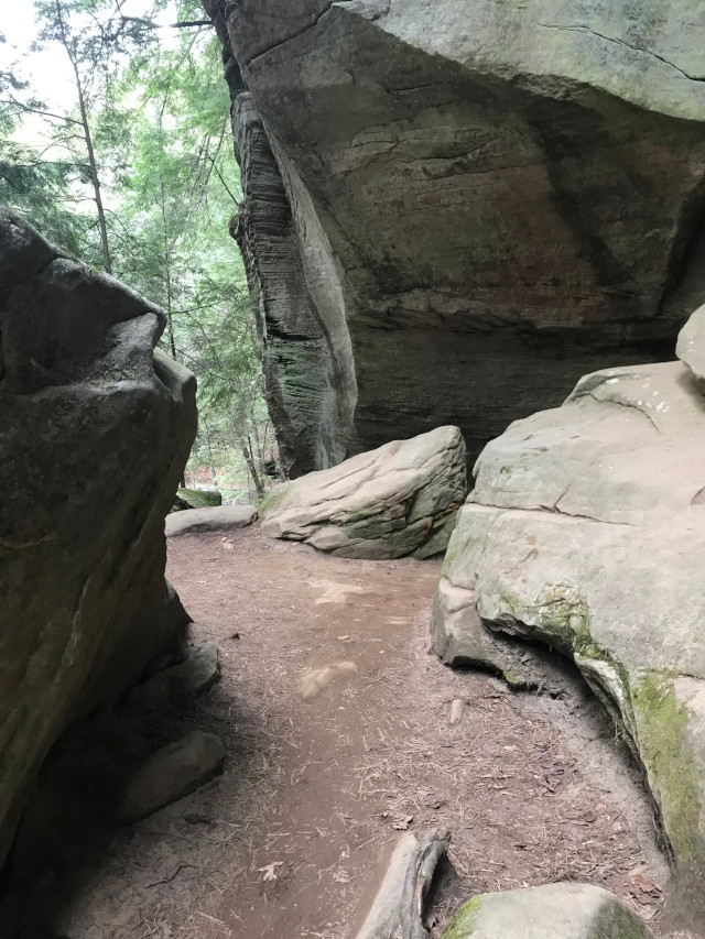 image of the hiking path trail at Cedar Falls hiking area in Hocking Hills Ohio