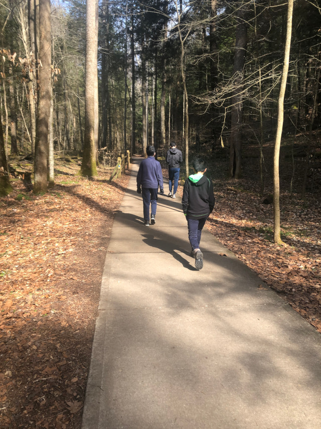 image of the paved path at Conkles Hollow hiking area in Hocking Hills Ohio