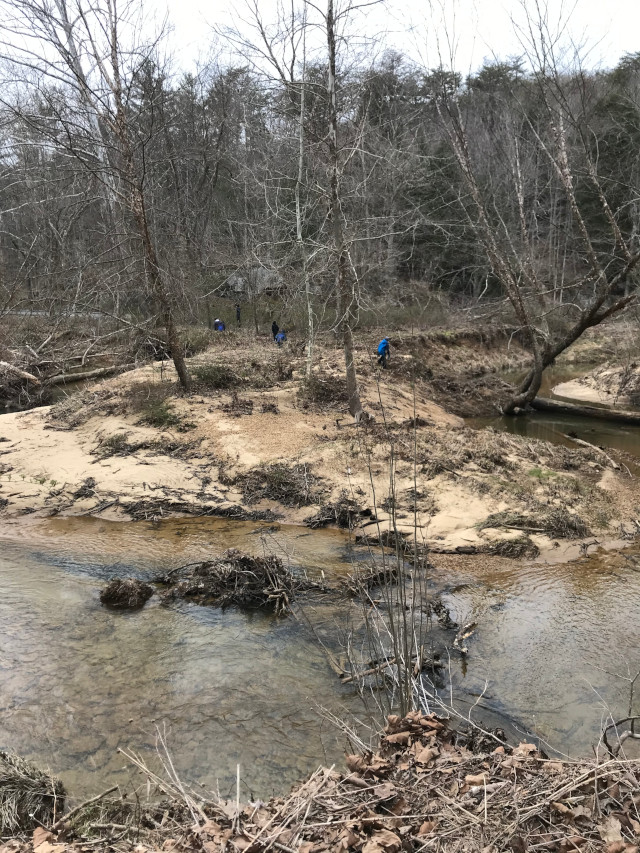 image of an island in the State Rockclimbing and Rappelling Area in Hocking Hills Ohio