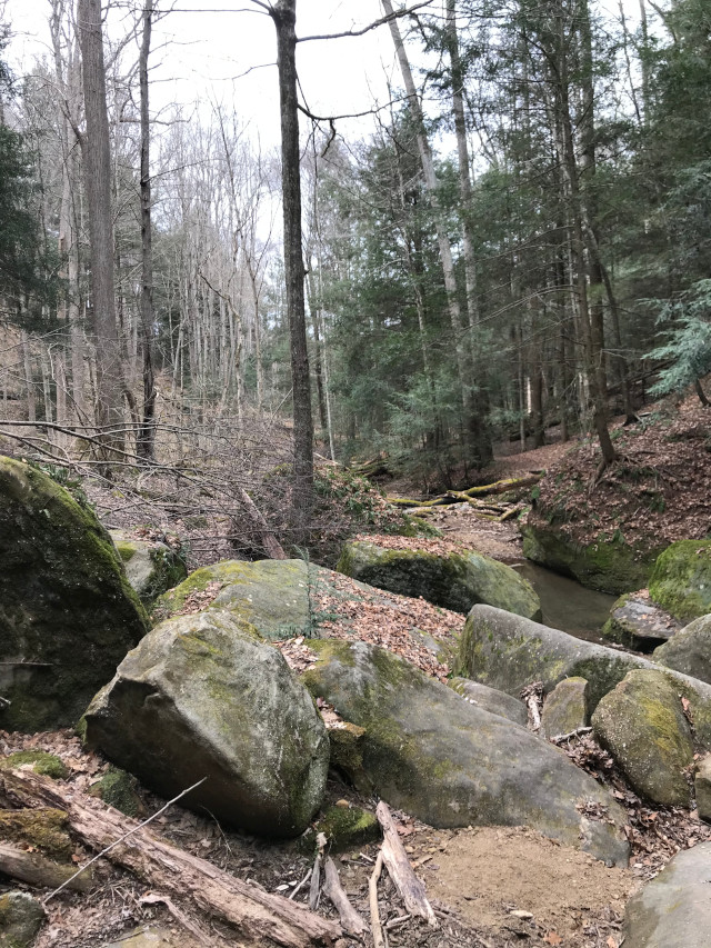 image of an island in the State Rockclimbing and Rappelling Area in Hocking Hills Ohio