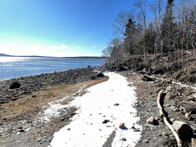 the view from the backyard of the house at the shore in Maine