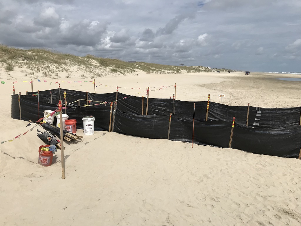 image of a turtle nest on the beach in Corolla North Carolina