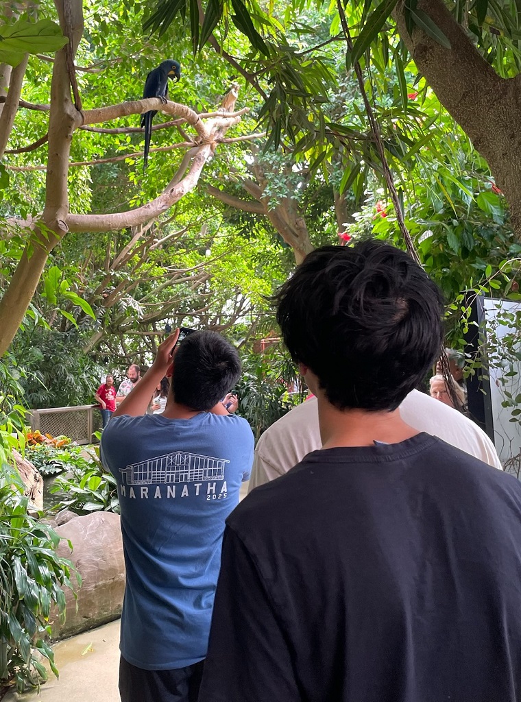 image of a display at the National Aviary in Pittsburgh Pennsylvania