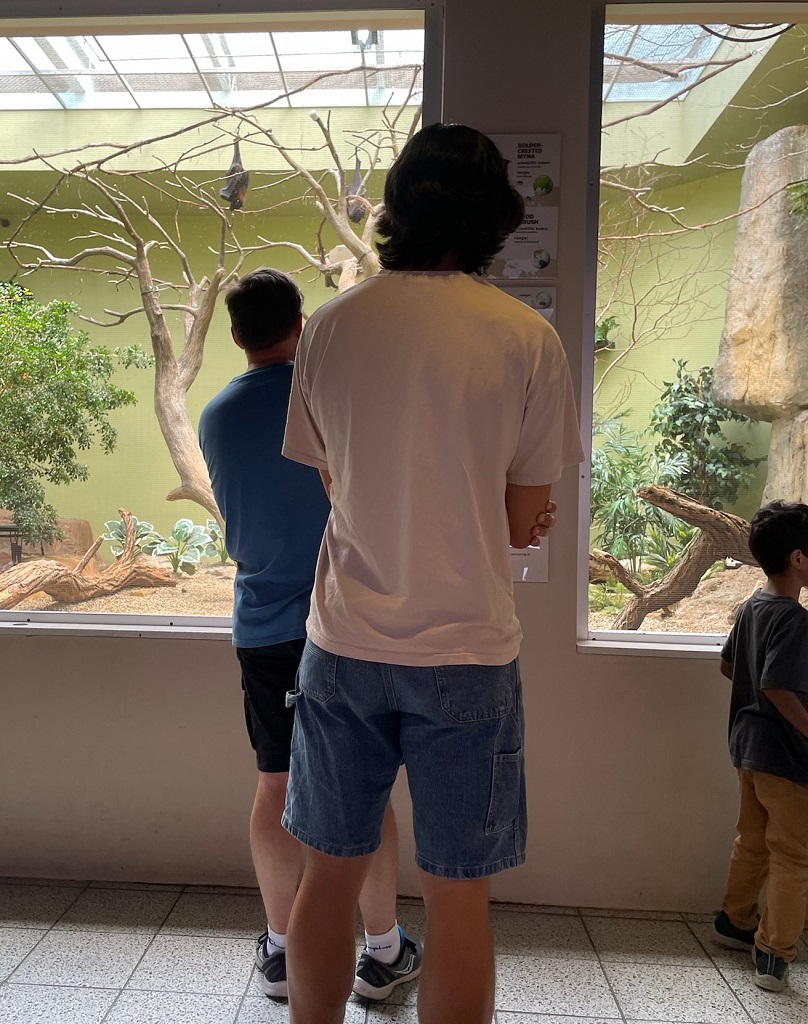 image of a display at the National Aviary in Pittsburgh Pennsylvania