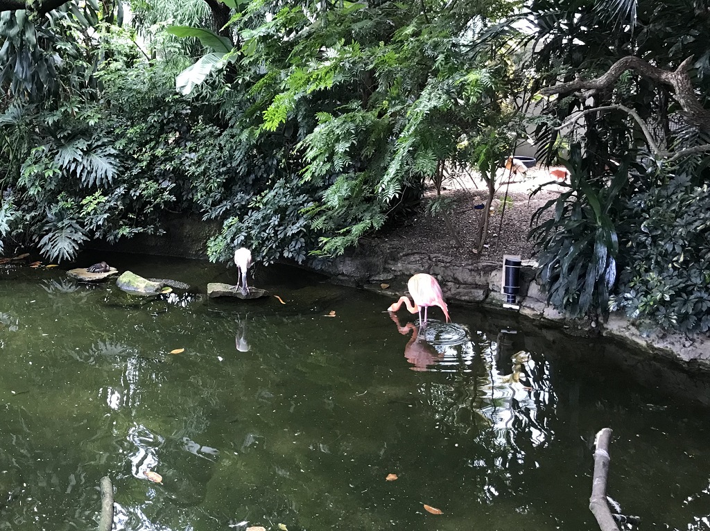 image of a display at the National Aviary in Pittsburgh Pennsylvania