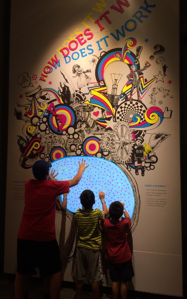 photo of a display at the Franklin Institute