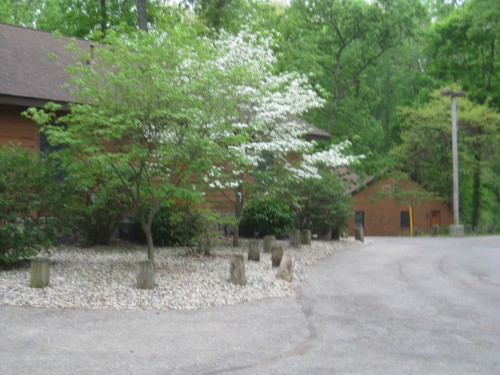 photo of the cabins at Pokagon State Park in Angola Indiana