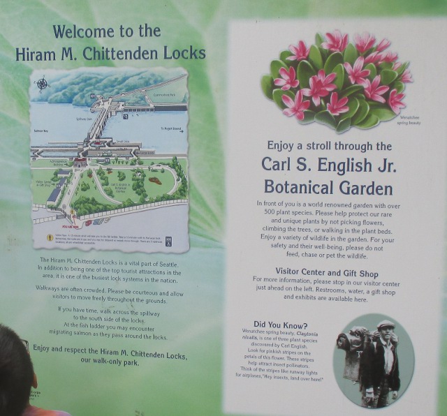 image of the Ballard locks in Seattle